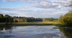 Etang de Chevré